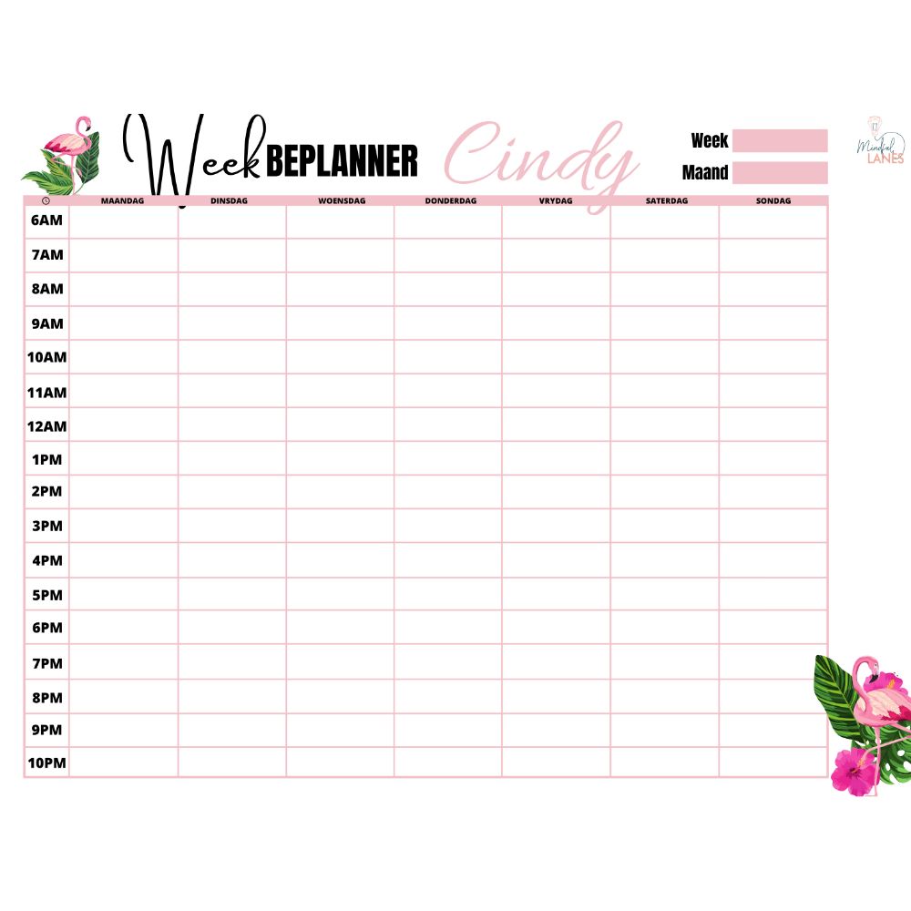 Flamingo Flamingo how to help plan your childs daily activities with a visual calender